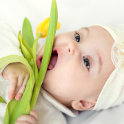 family-photos, малышка и тюльпан